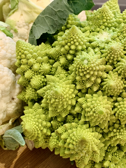 Broccolo ZeroZeroOrto