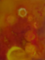 Sunflower. Oil on Canvas. 30x23x4cm. £145