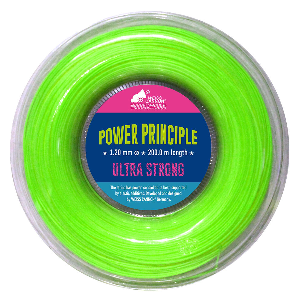 Miniaturbild: Power Principle
