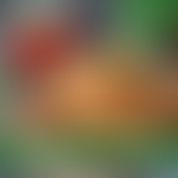 Свинина с гречкой