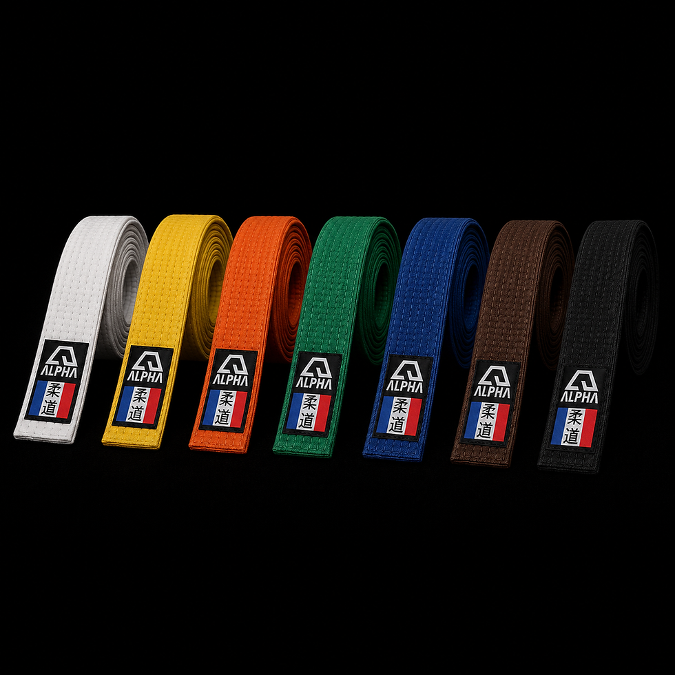 Miniature : Ensemble complet  550 GSM