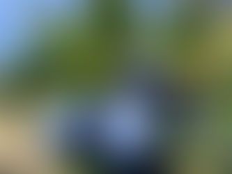 Hooray for Summer Rain: February 2026