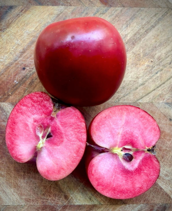 Apple 'Huonville Crab'