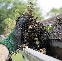 Gutter_Cleaning_Hand_Square_9a093a33-4017-4b01-921b-e6f66c50b28a.webp