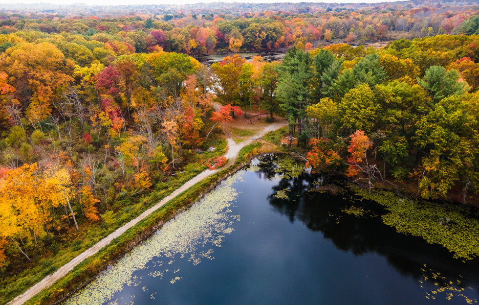 Lake Walton Preserve Improvements