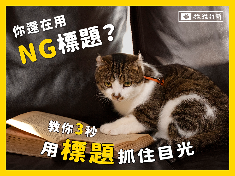 如何在3秒內，用標題抓住讀者的目光呢？