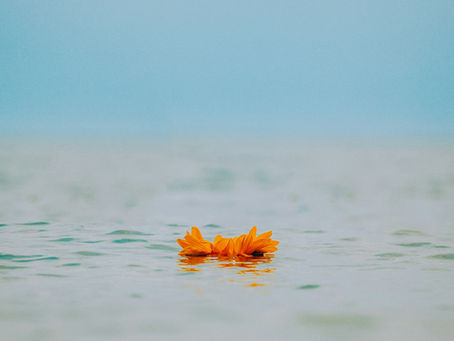 Nieuwsbrief 18. Overgangen