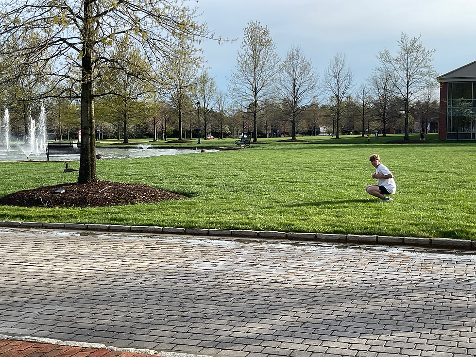 (A peaceful scene before Luke got chased by a goose)