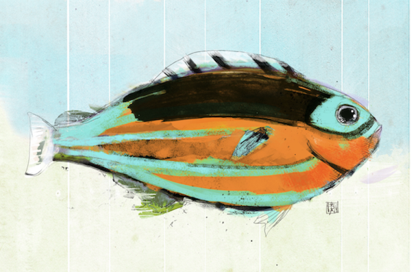 School of Fish 6.png