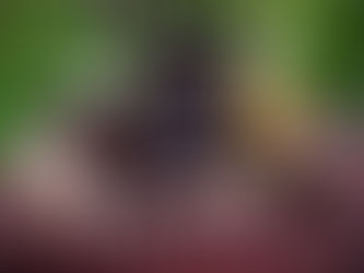 Paris Mysteries By Edgar Allen Poe