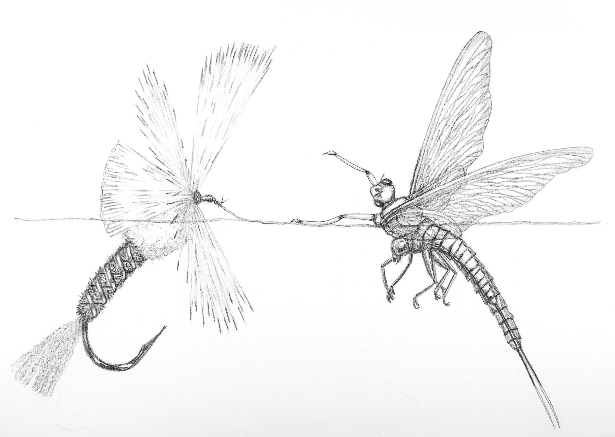 Imposters Fly Fishing Fine Art Print - "50 Million Years Later"