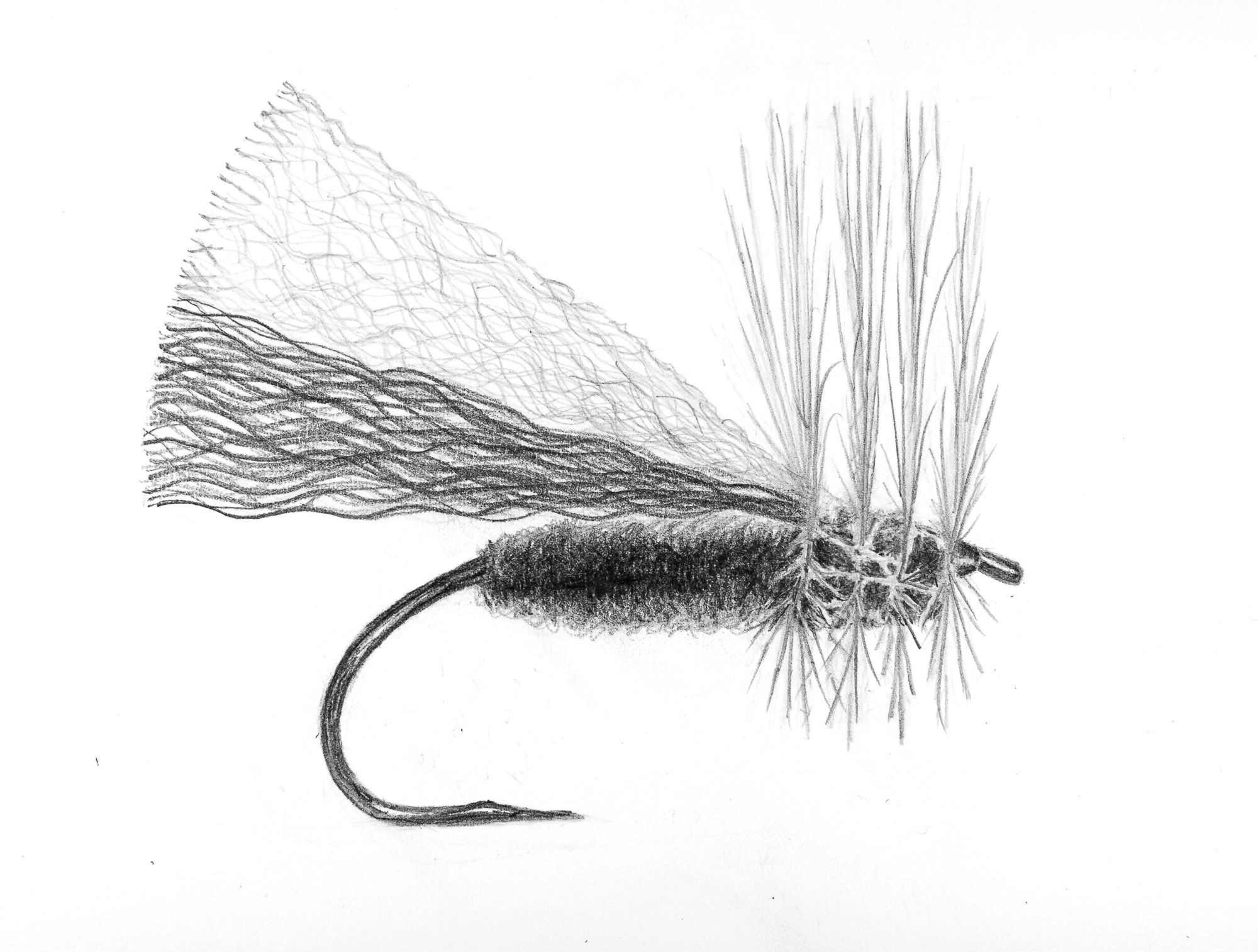 Imposters Fly Fishing Fine Art Print - "Skaddis, Dark"