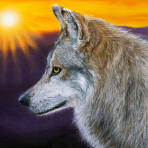 GET INVOLVED IN SAVING THESE ENDANGERED WOLVES. 