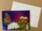 Thumbnail: 3 Pack of Greeting Cards