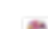 DCP-WEB-BANNNER-10.png