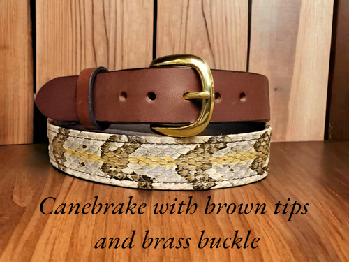 Timber Rattler/Canebrake Belt | Belt Shop at Hardens