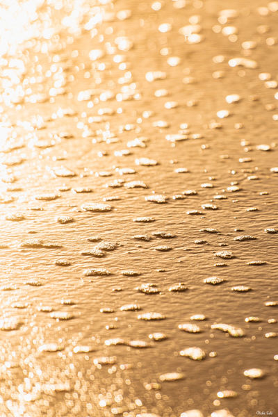 Sable et coquillages à Messanges. Photographie d'art des Landes, Cliché Salé.