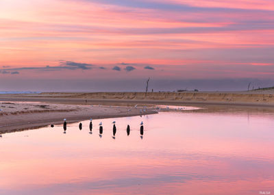 Coucher de soleil rose au Courant d'Huchet. Photographie d'art des Landes, Cliché Salé.