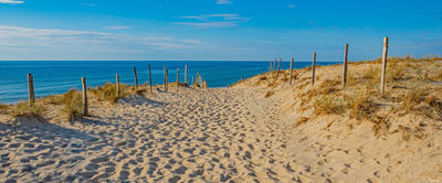 Chemin de dune à Messanges. Photographie d'art des Landes, Cliché Salé.