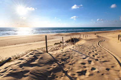 Piste de dune à Messanges. Photographie d'art des Landes, Cliché Salé.