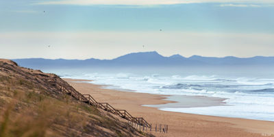Dune et montagnes à Messanges. Photographie d'art des Landes, Cliché Salé.