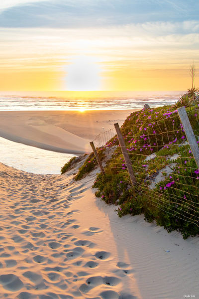 Dune et lagune au Courant d'Huchet. Photographie d'art des Landes, Cliché Salé.