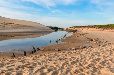 Courant d'Huchet. Photographie d'art des Landes, Cliché Salé.