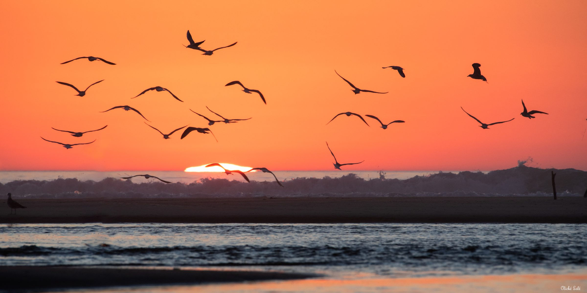 Lumière Envolée – Coucher de soleil – Courant d'Huchet – Semi-panoramique