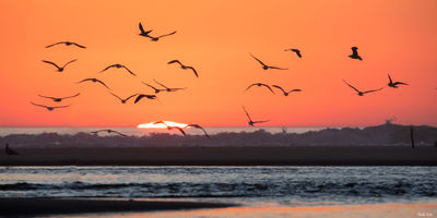 Coucher de soleil au Courant d'Huchet. Photographie d'art des Landes, Cliché Salé.