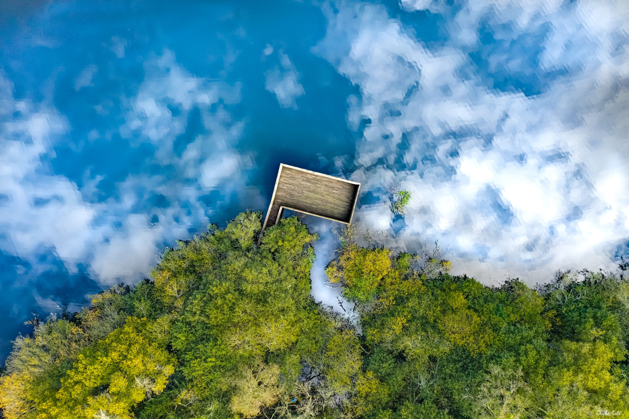 Lac Blanc – Forêt vue du ciel – Seignosse