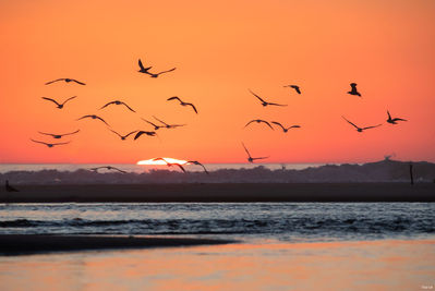 Coucher de soleil au Courant d'Huchet. Photographie d'art des Landes, Cliché Salé.