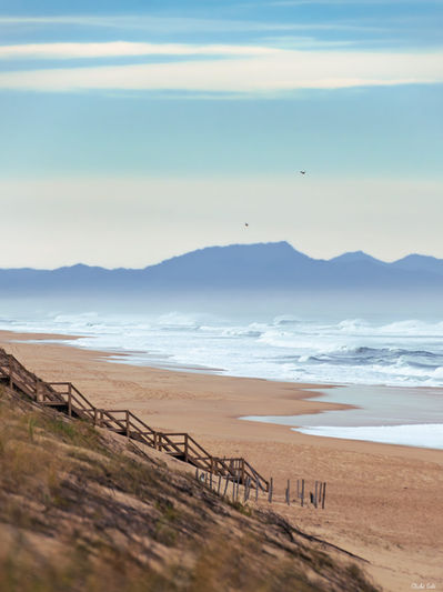 Dune et montagnes à Messanges. Photographie d'art des Landes, Cliché Salé.