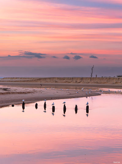 Coucher de soleil rose au Courant d'Huchet. Photographie d'art des Landes, Cliché Salé.