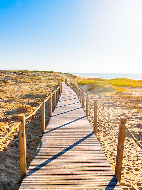 Le chemin de la plage de Seignosse, tirage d'art Sea Sand and Sun
