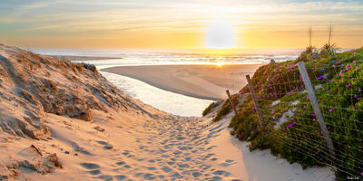 Dune et lagune au Courant d'Huchet. Photographie d'art des Landes, Cliché Salé.