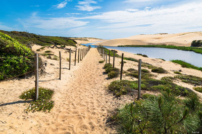 Chemin des dunes au Courant d'Huchet. Photographie d'art des Landes, Cliché Salé.