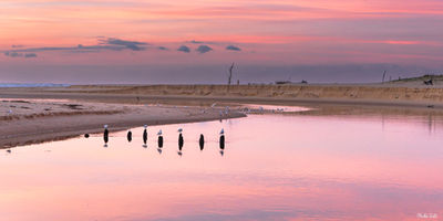 Coucher de soleil rose au Courant d'Huchet. Photographie d'art des Landes, Cliché Salé.