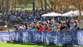 Adelaide Equestrian Festival Delivers Major Economic Impact and Record Attendance