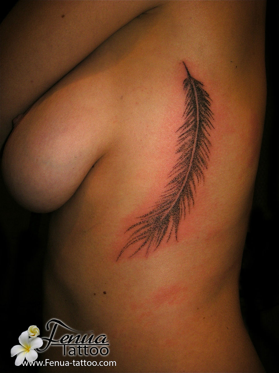 Picasa - tatouage point plume.jpg