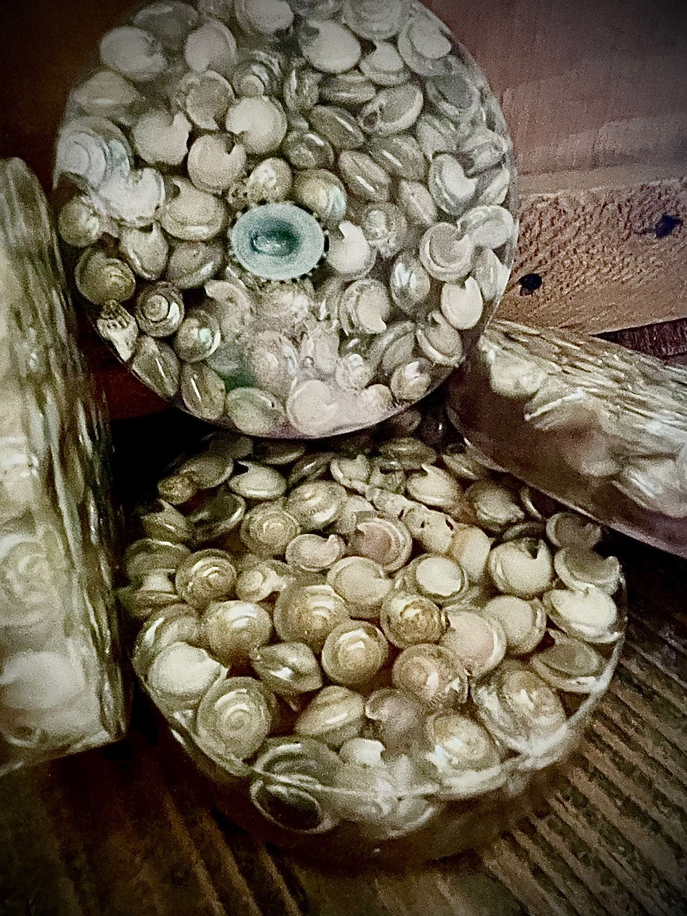 Thumbnail: “Circles of Seashells” Coasters, Set of 4