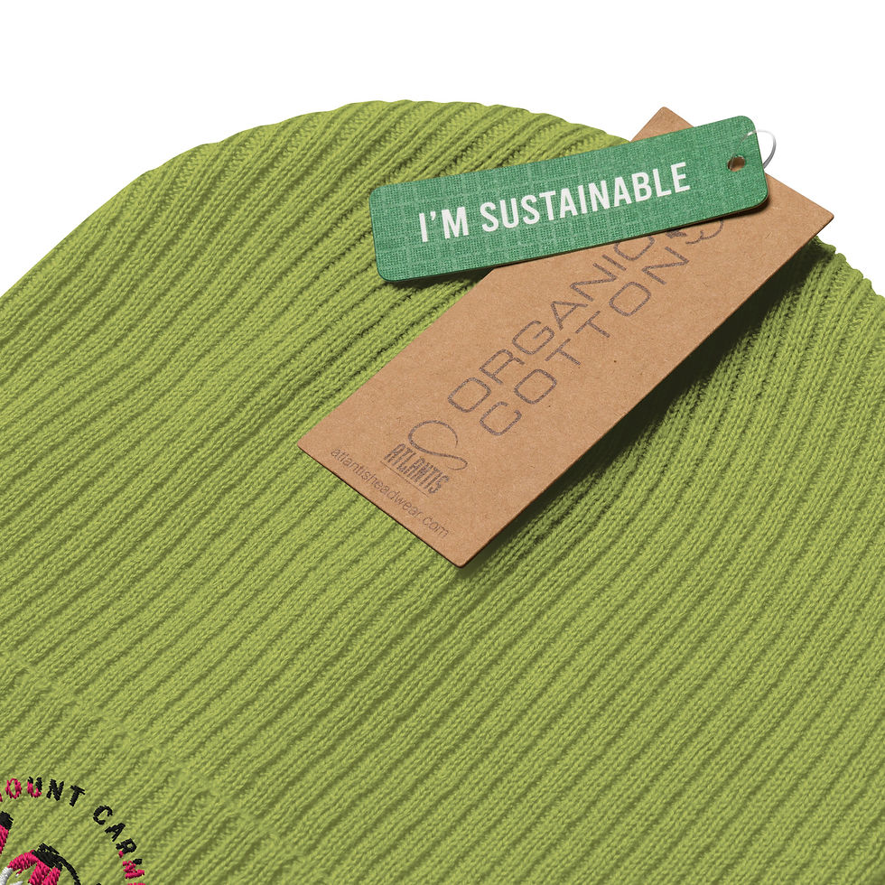 Thumbnail: Organic ribbed beanie