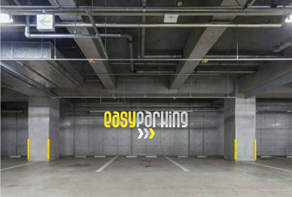 Valet Parking (1).jpg