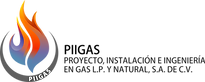 logotipo PIIGAS.png