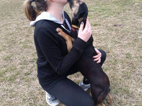 50 óra közszolgálat a diák szemével