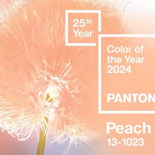 Couleur de l'année 2023 by Pantone