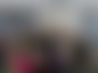 クリスマスリース