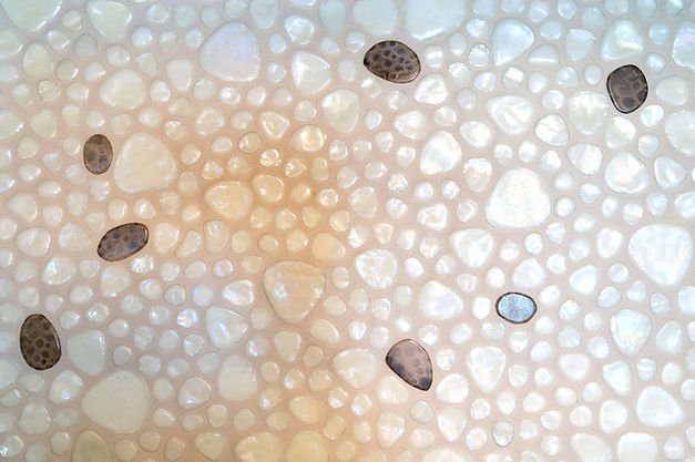 _DSC1197_edited_edited.jpg