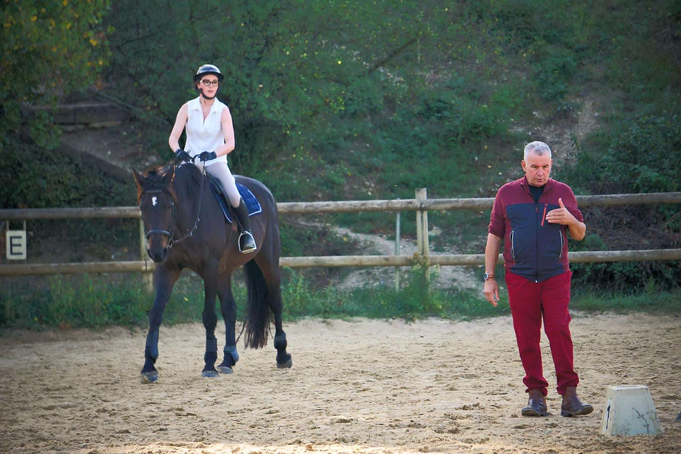Cours particuliers au Centre équestre du Rouret en Ardèche