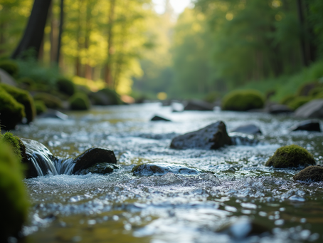 Restoring Harmony Through Holistic Life Coaching