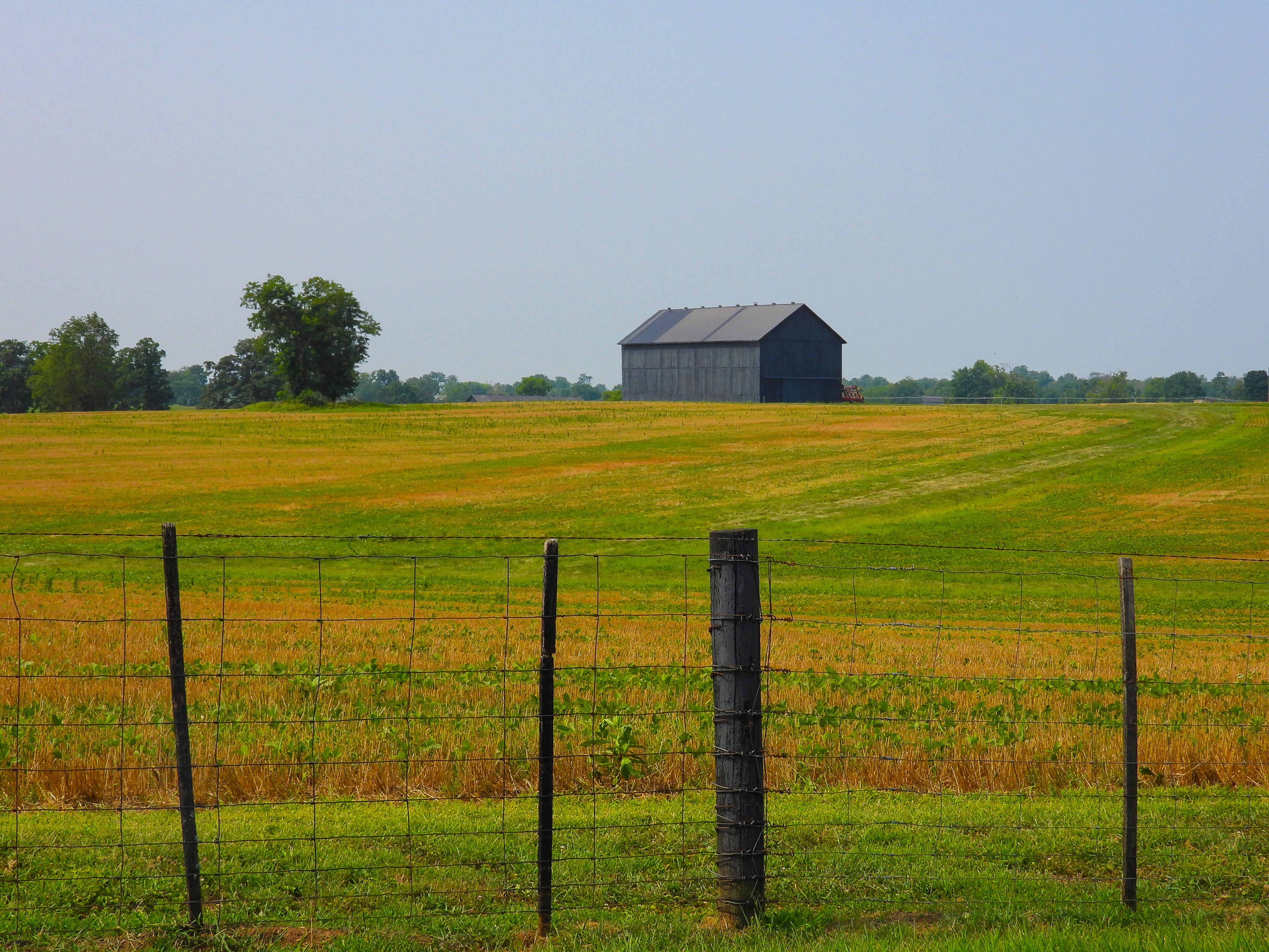 Landscape Of A Barn